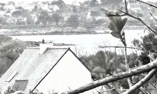 Terrain  1600 m² à vendre à Pleumeur-Bodou (22560)