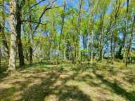 MAISON 213M2 4 CHAMBRES SUR UN TERRAIN 9454M2 — photo 4