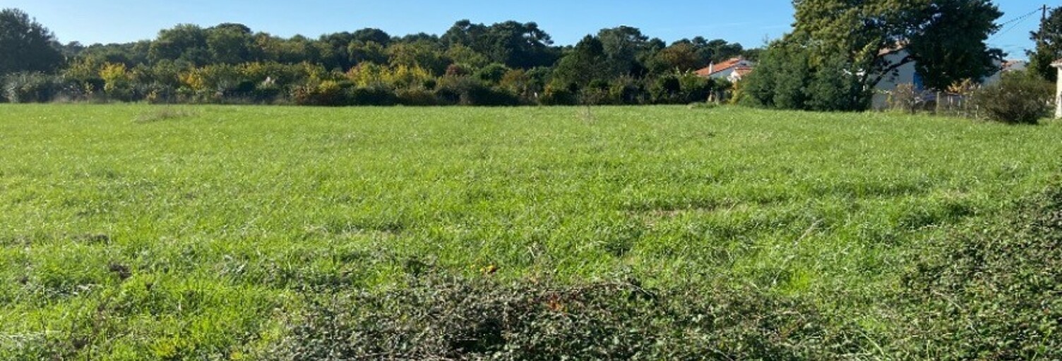 Terrain  590 m² à vendre à Saint-Palais-sur-Mer (17420)