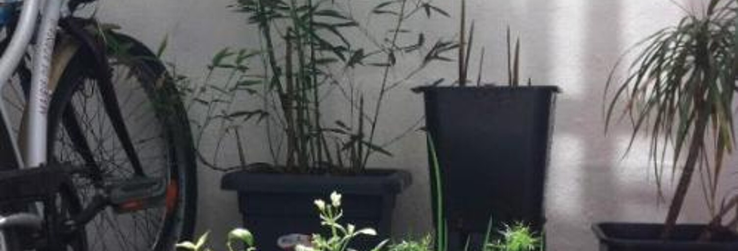 Appartement 2 Pièces  m² à louer à Bordeaux (33000)