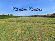 Terrain à vendre de 2 055,00 m² BARBASTE (47) — photo 2