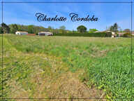 Terrain à vendre de 2 055,00 m² BARBASTE (47) — photo 3