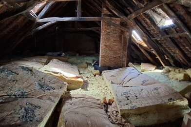 Appartement 1 pièces 57250 €