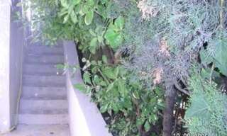 Appartement 1 Pièce 15 m² à louer à Marseille 13 (13013)