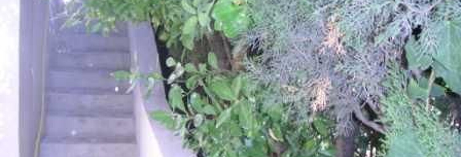 Appartement 1 Pièce 15 m² à louer à Marseille 13 (13013)