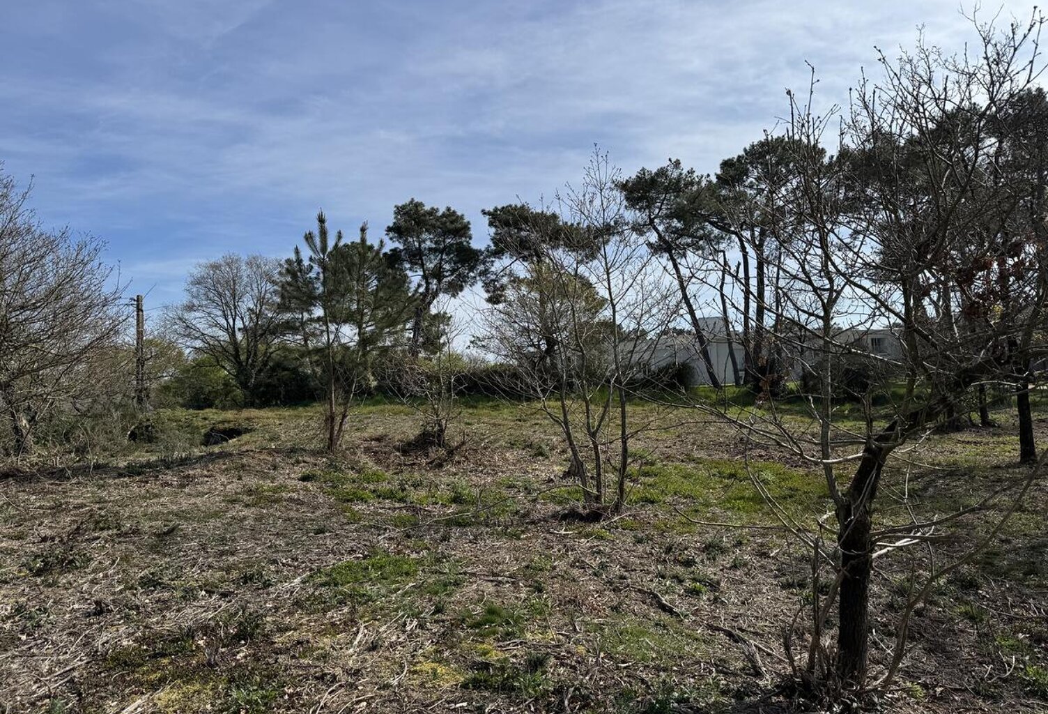 Terrain — photo 1