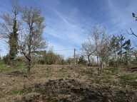 Terrain — photo 2