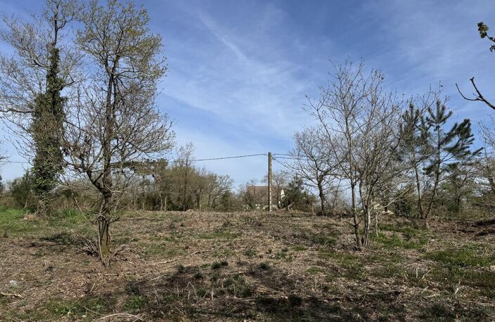 Terrain — photo 2