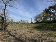 Terrain — photo 3