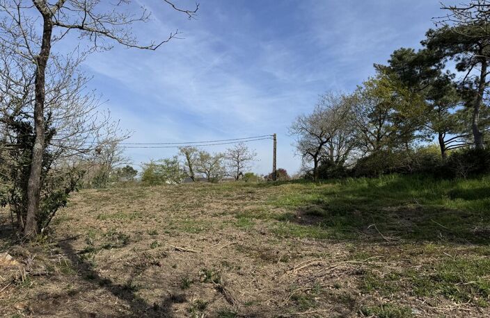 Terrain — photo 3