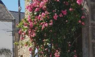 Maison 3 Pièces 72 m² à vendre à Plouharnel (56340)