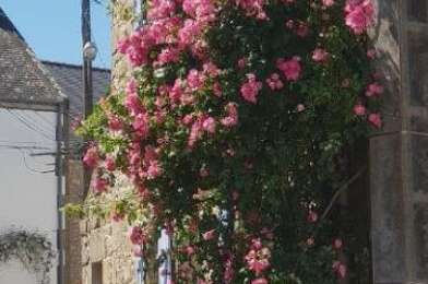 Maison 3 pièces 380000 €