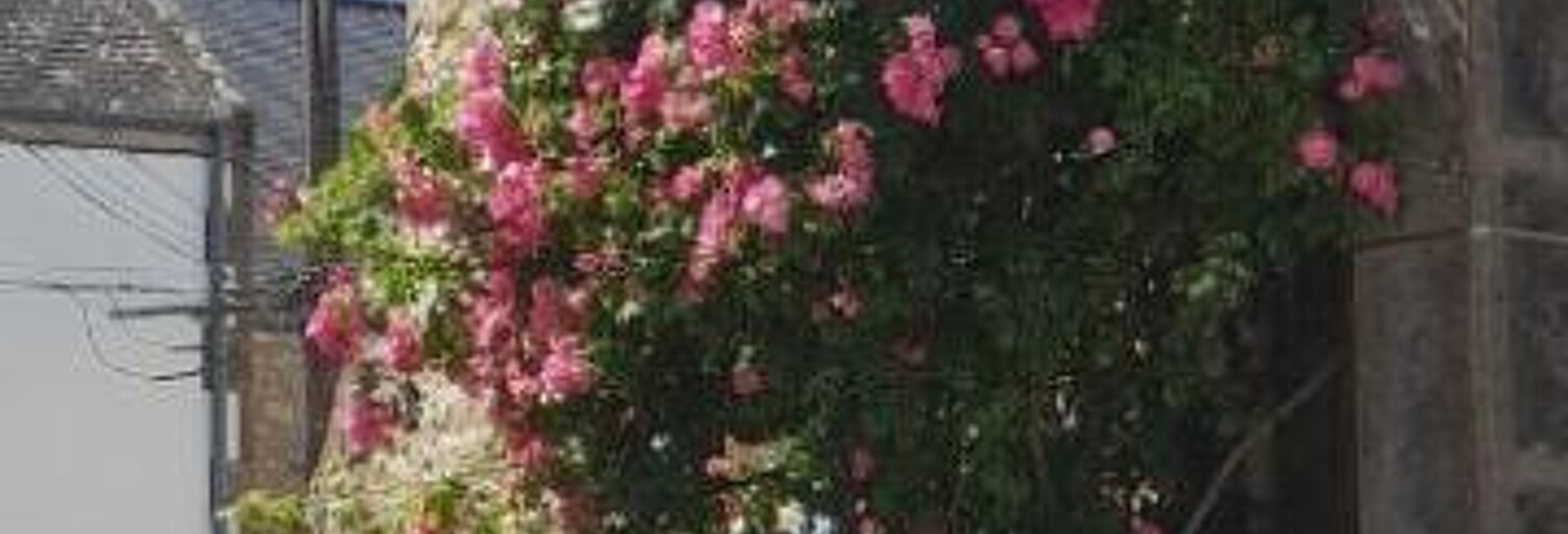 Maison 3 Pièces 72 m² à vendre à Plouharnel (56340)