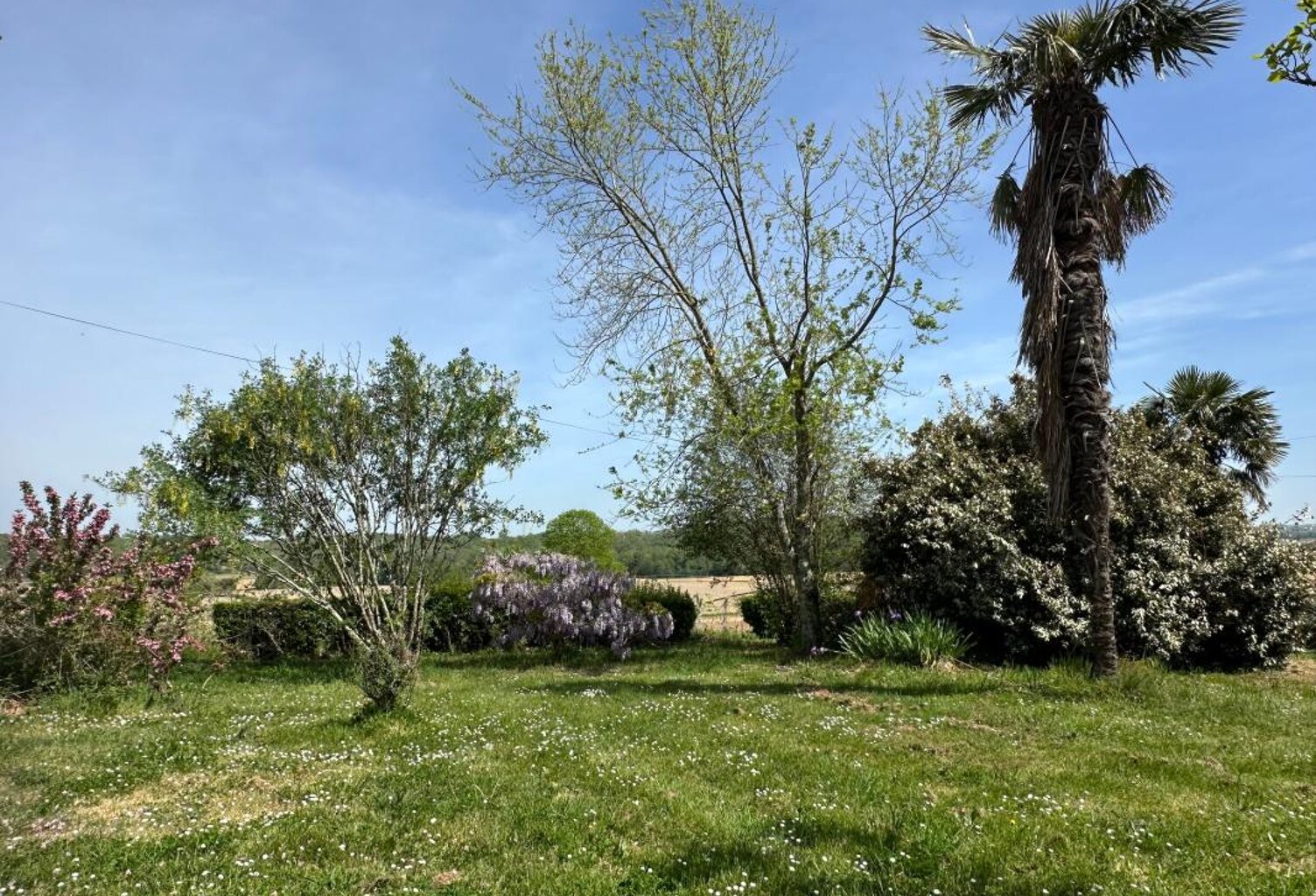 Maison À Vendre - Campagne — photo 1
