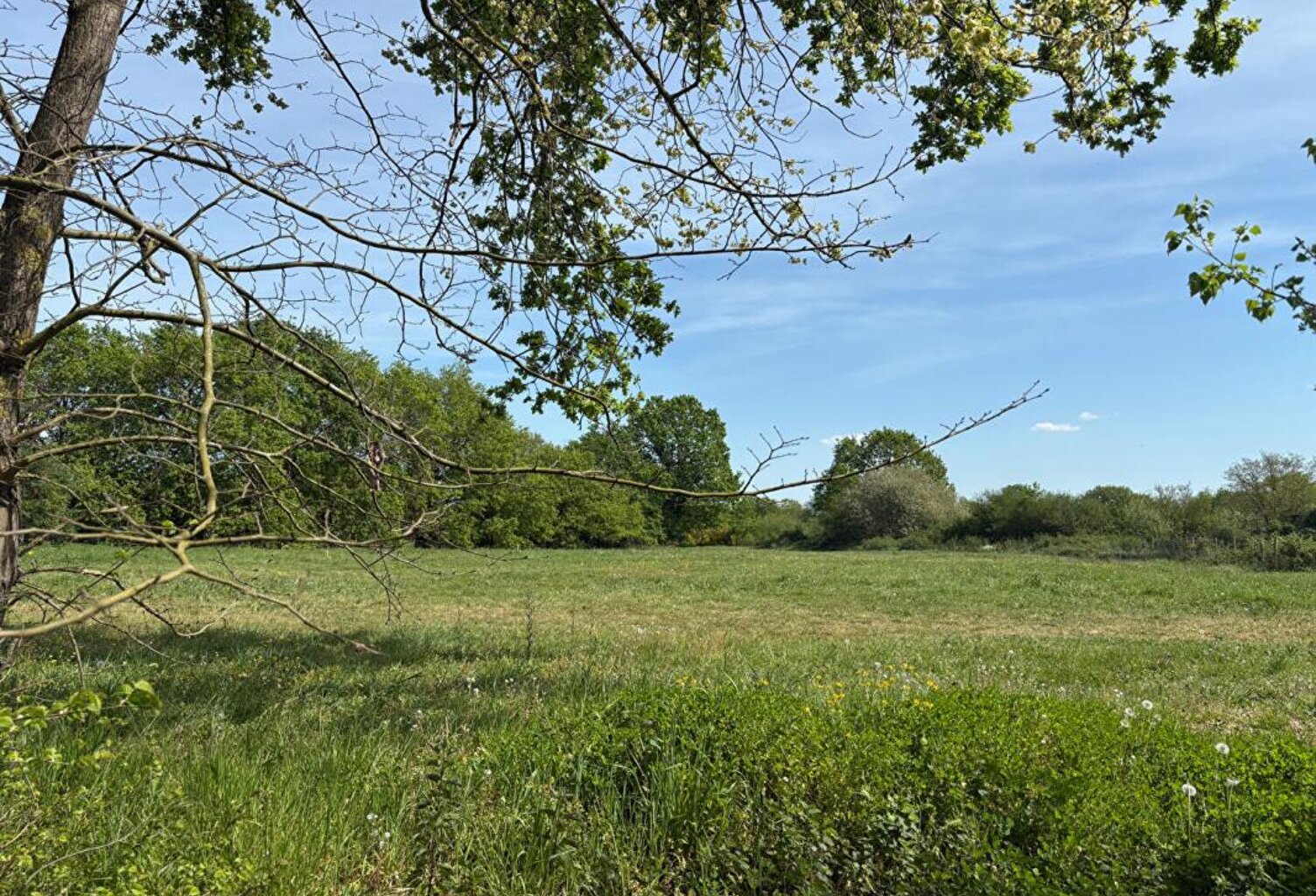 Terrain Ecuille 660 m2 — photo 1