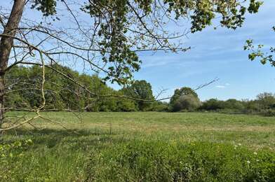 Terrain  77000 €