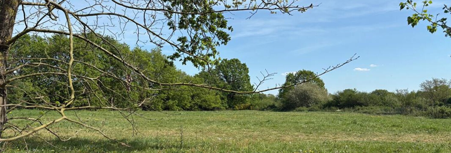 Terrain  660 m² à vendre à Écuillé (49460)