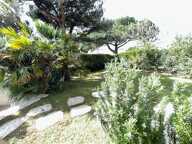 Appartement  3 pièce(s) 69 m2 petit aperçu mer — photo 4