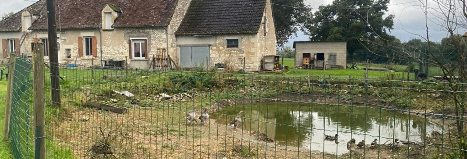 Maison 4 Pièces 102 m² à vendre à Palluau-sur-Indre (36500)