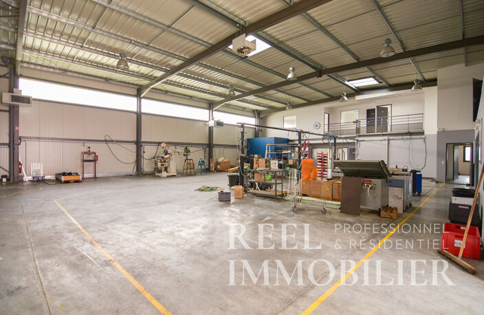 Bâtiment d'activité récent - Investissement locatif ou implantation d'entreprise - L'Isle-Jourdain — photo 2