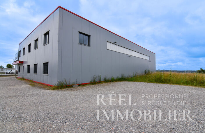 Bâtiment d'activité récent - Investissement locatif ou implantation d'entreprise - L'Isle-Jourdain — photo 4