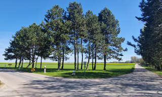 Maison 6 Pièces 103 m² à vendre à Boult-sur-Suippe (51110)