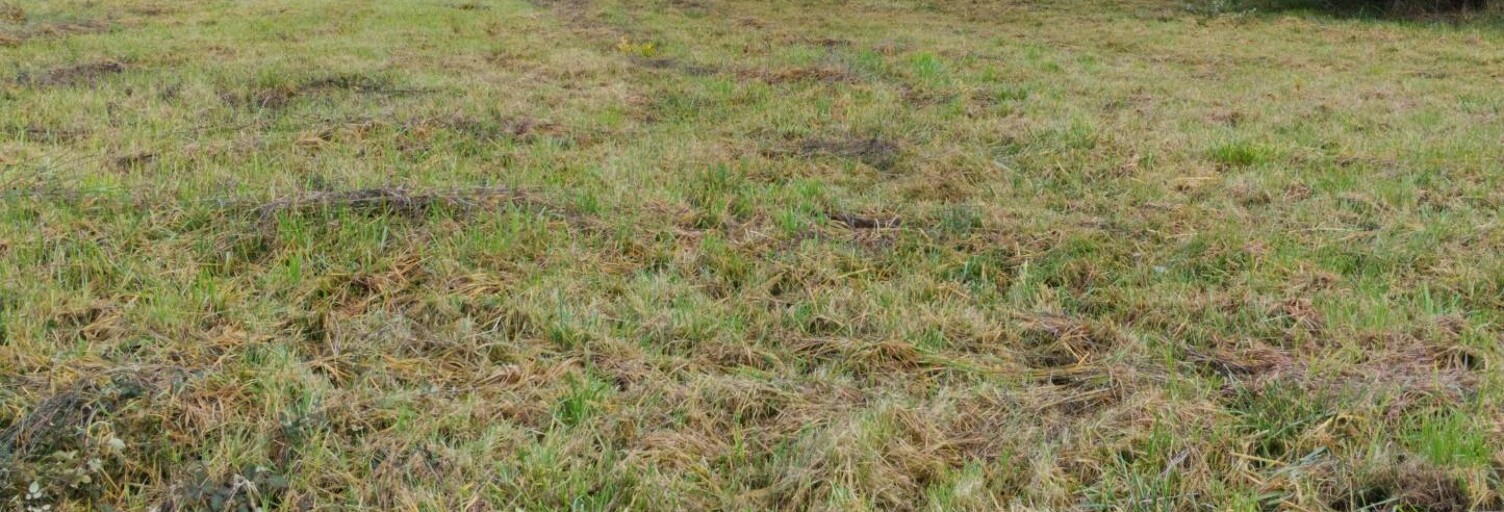 Terrain  2784 m² à vendre à Angoulême (16000)