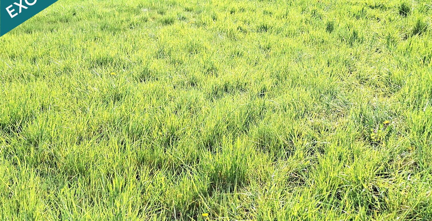 Beau terrain à bâtir — photo 1