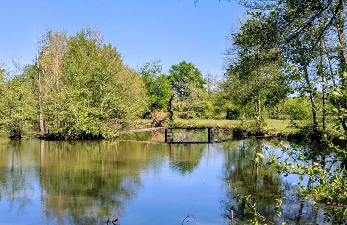 Domaine rare avec dépendances et piscine — photo 2