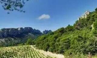 Terrain  8800 m² à vendre à Sarrians (84260)