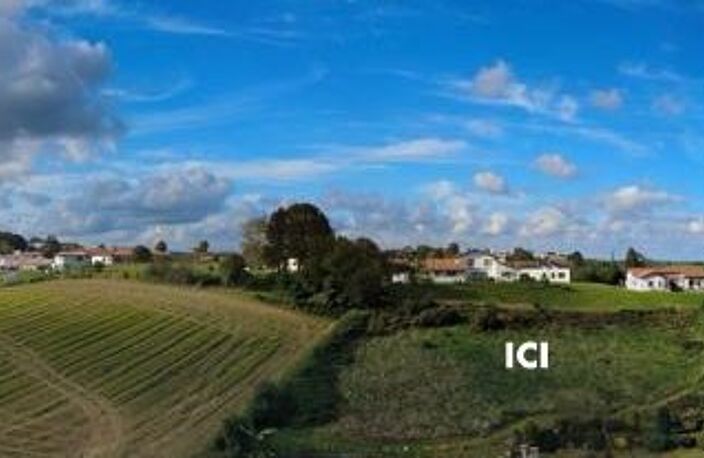 Terrain — photo 3