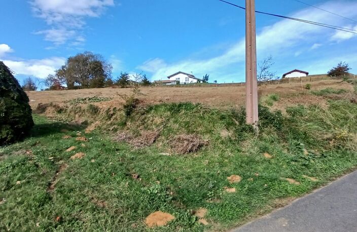 Terrain — photo 4