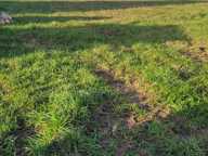 Terrain — photo 2