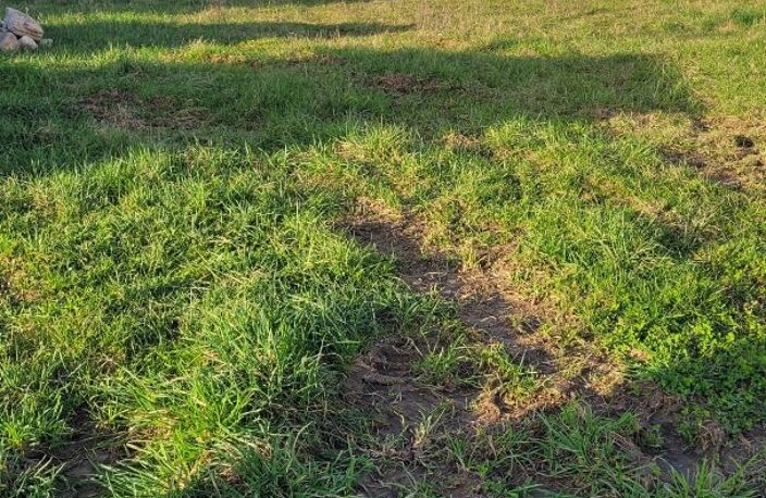 Terrain — photo 2