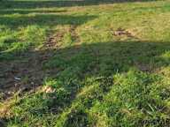 Terrain — photo 4