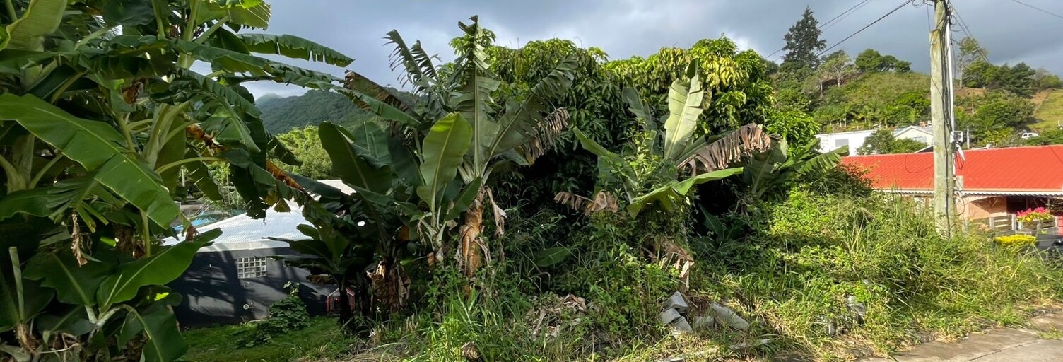 Terrain  998 m² à vendre à Entre-Deux (97414)