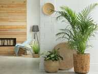 BLEU DU SUD - VILLAS BRS — photo 4