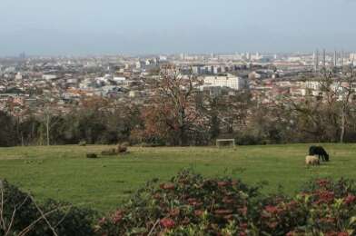 Appartement 2 pièces 650 €