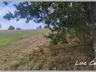 À VENDRE - LE BORN (31) ✨ Terrain constructible de 1970 m² ✨   Prix : 52000 € — photo 2