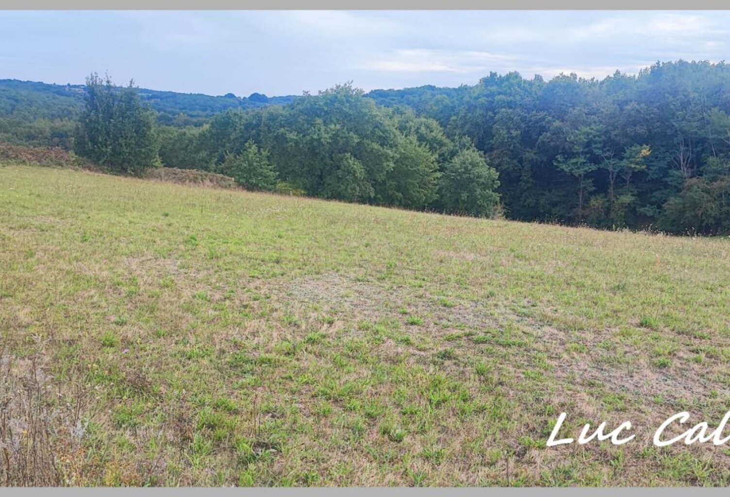 À VENDRE - LE BORN (31) ✨ Terrain constructible de 1970 m² ✨ 💶 Prix : 52000 € — photo 1