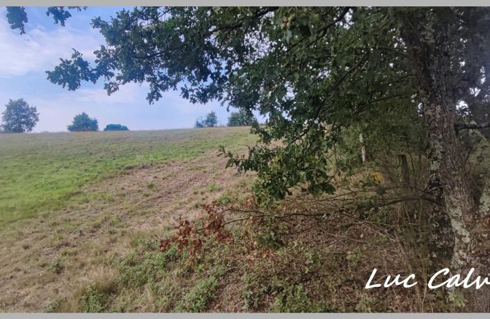 À VENDRE - LE BORN (31) ✨ Terrain constructible de 1970 m² ✨ 💶 Prix : 52000 € — photo 2