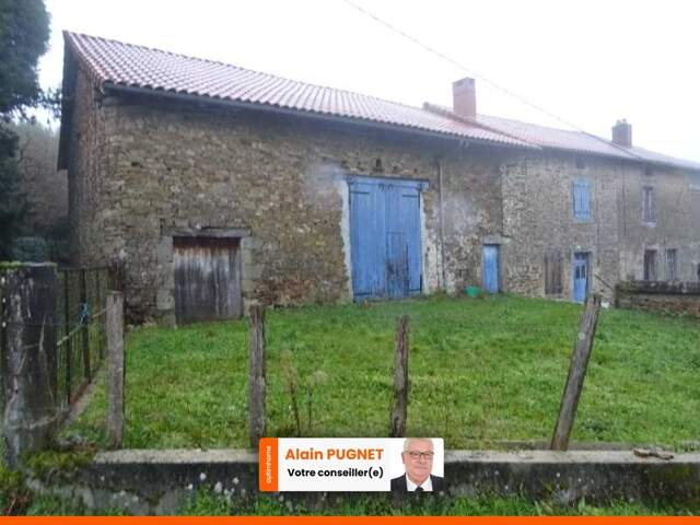 SECTEUR DOURNAZAC ENSEMBLE IMMOBILIER DE DEUX HABITATIONS AVEC DEUX BELLES GRANGES ATTENANTES ET UNE DEPENDANCE AVEC FOUR A PAIN A RENOVER EN TOTALITE — photo du bien