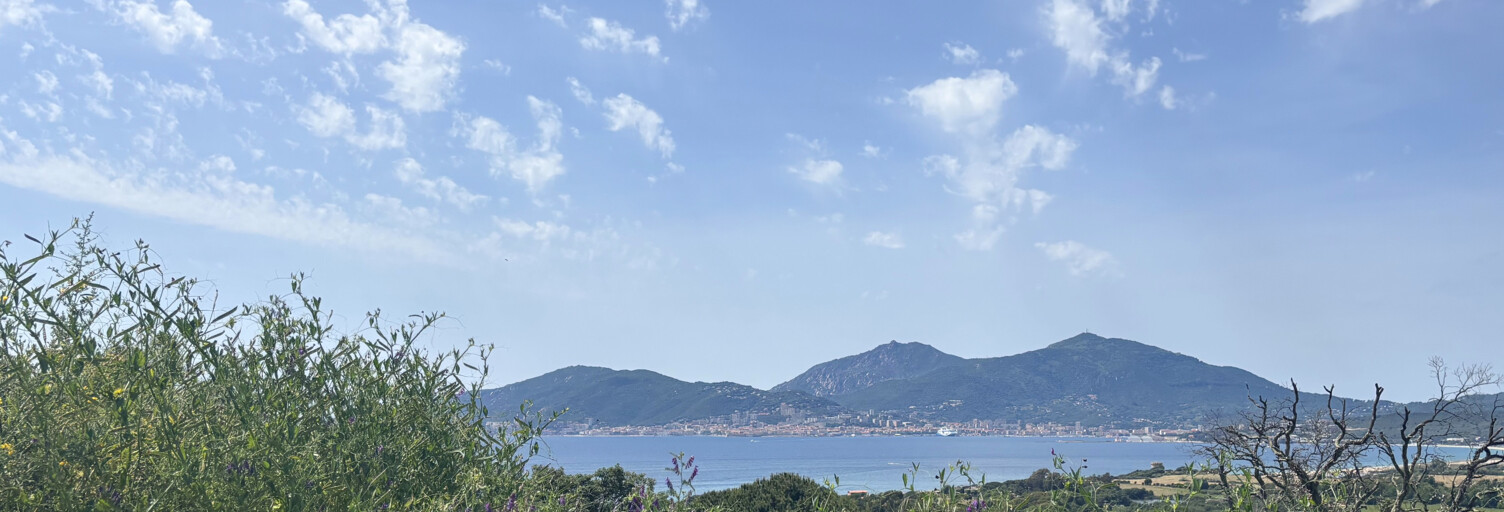 Terrain  738 m² à vendre à Albitreccia (20166)