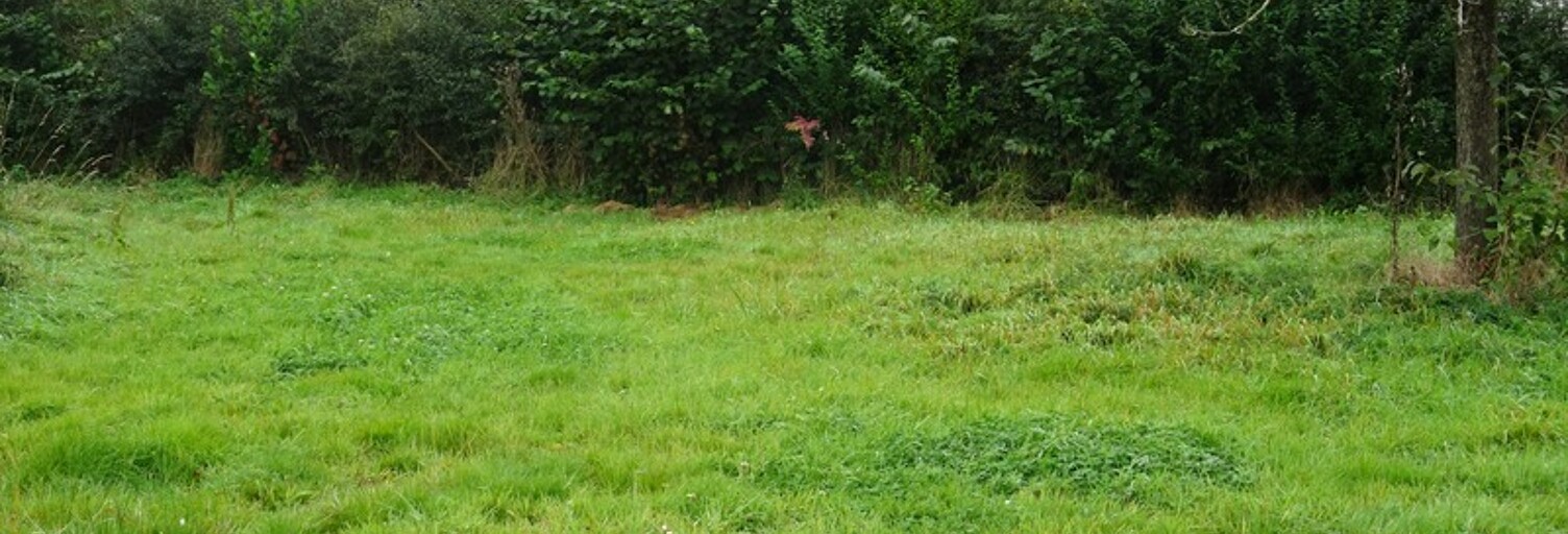 Terrain  500 m² à vendre à Doudeville (76560)