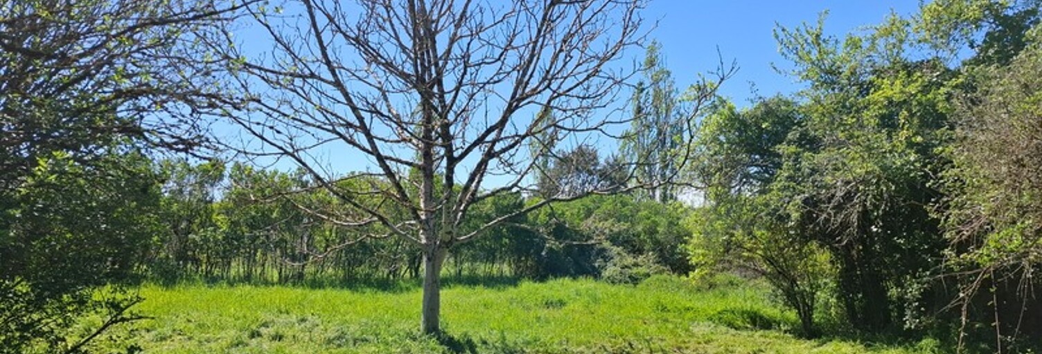 Maison 2 Pièces 52 m² à vendre à Peyrignac (24210)