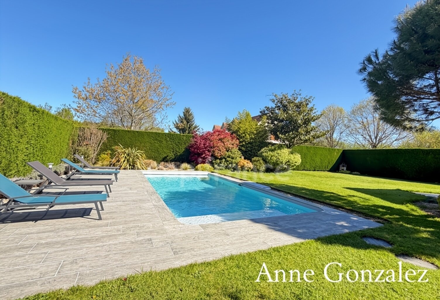 OLIVET SUD, à vendre superbe maison familiale de plus de 200 m2 avec maison d'amis et piscine chauffée dans un environnent calme et privilégié - — photo 1