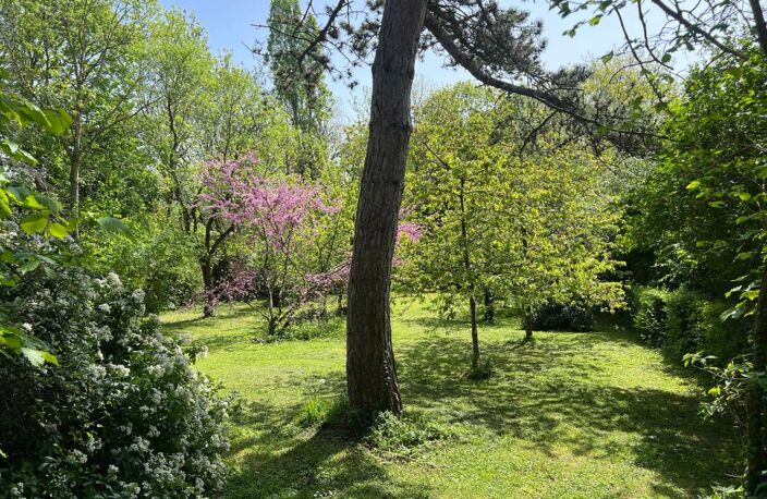 Maison À Vendre — photo 4