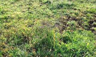 Terrain  780 m² à vendre à Les Mages (30960)