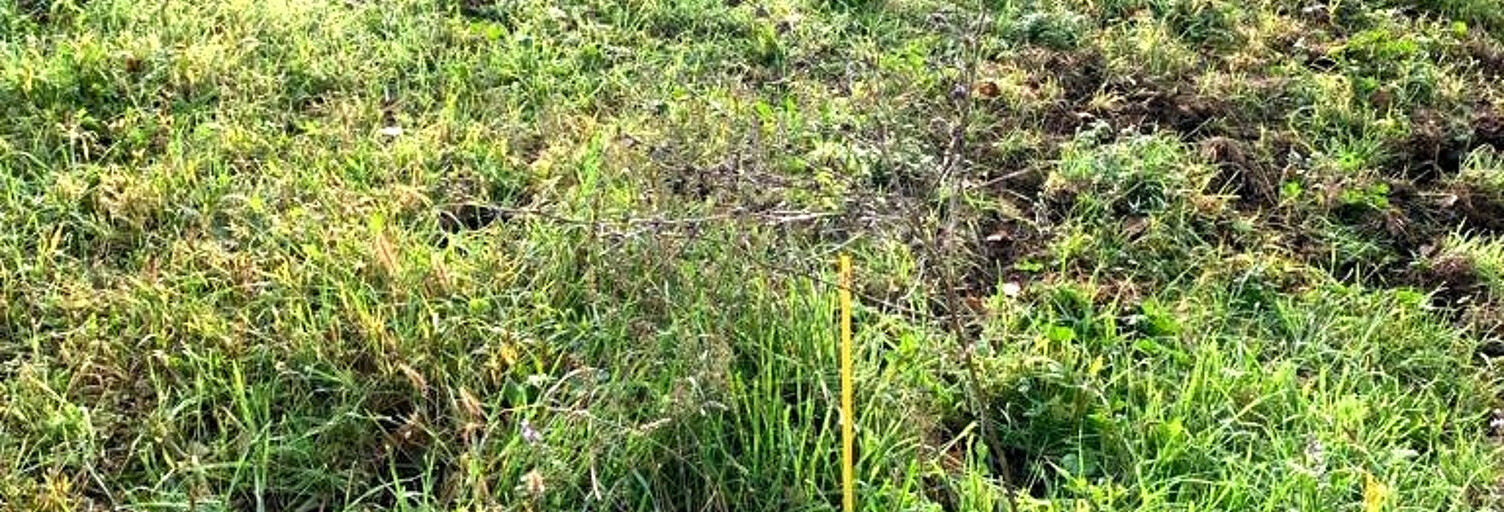 Terrain  780 m² à vendre à Les Mages (30960)