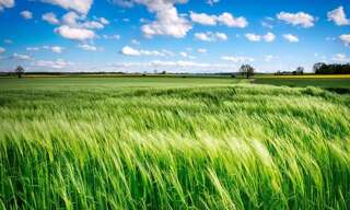 Terrain  1617 m² à vendre à Eydoche (38690)